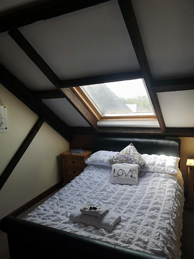 Red Lion Hotel Ystrad Meurig Extérieur photo